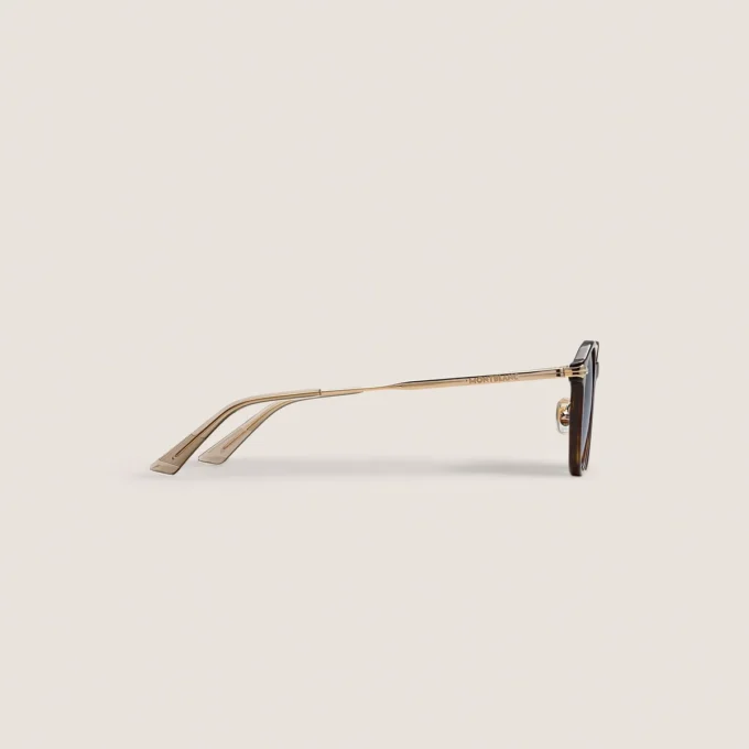 Lunettes de soleil rondes avec monture en acétate havane Lunettes de soleil rondes avec monture en acétate havane