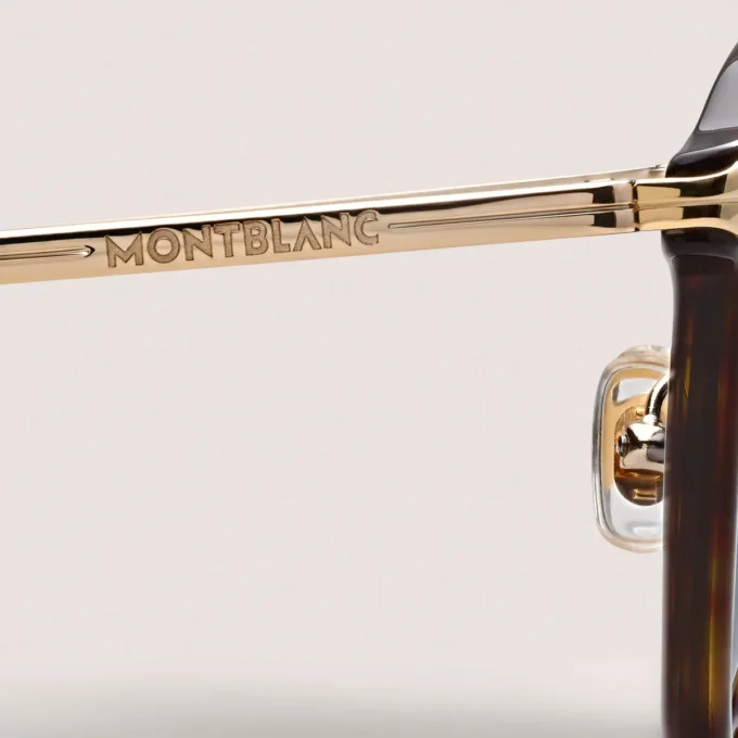 Lunettes de soleil rondes avec monture en acétate havane Lunettes de soleil rondes avec monture en acétate havane