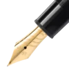 Meisterstück 149 Calligraphy Curved Nib