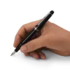 Stylo plume Meisterstück Classique plaqué platine (F)